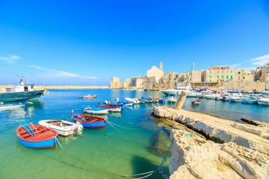Casadamare Holiday Home Giovinazzo Kültér fotó